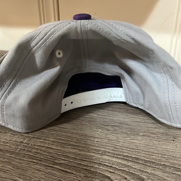 Rare NWT Flat Fitty snap back - Picture 3 of 3